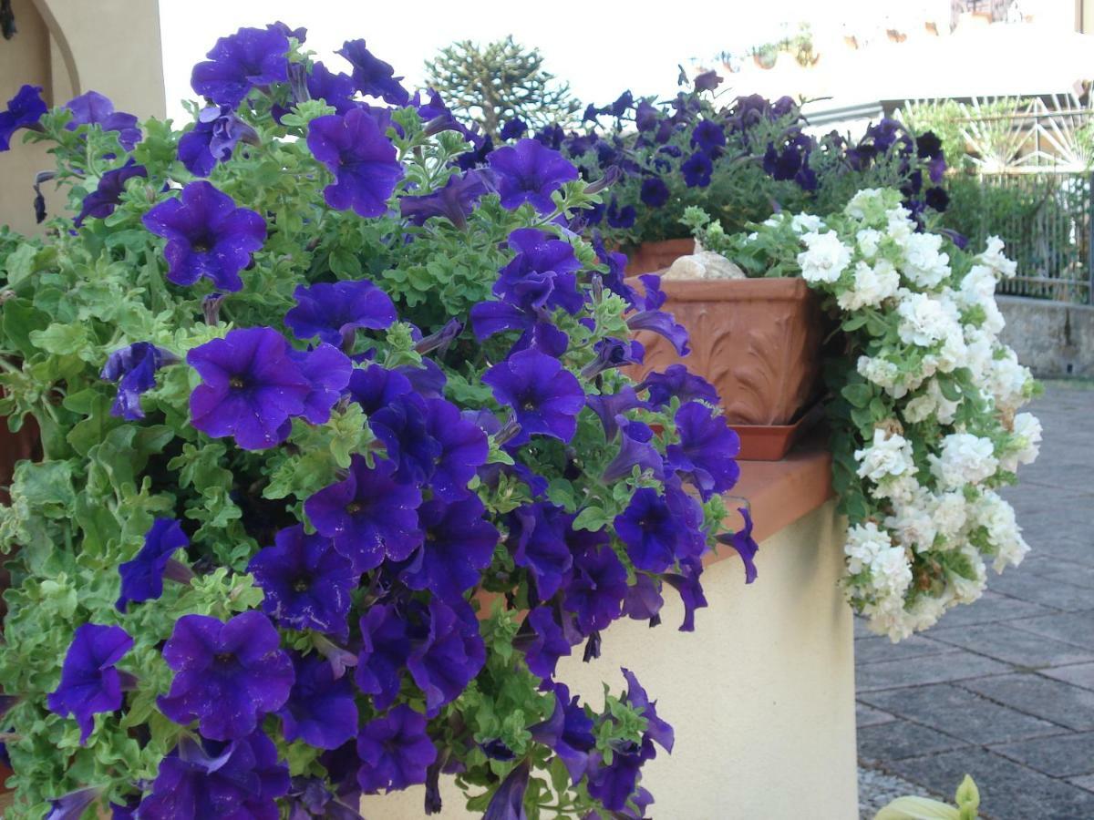 Globetrotter Bed & Breakfast Formia Luaran gambar